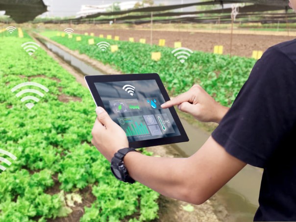 智慧农业智能自动化灌溉水肥一体化系统