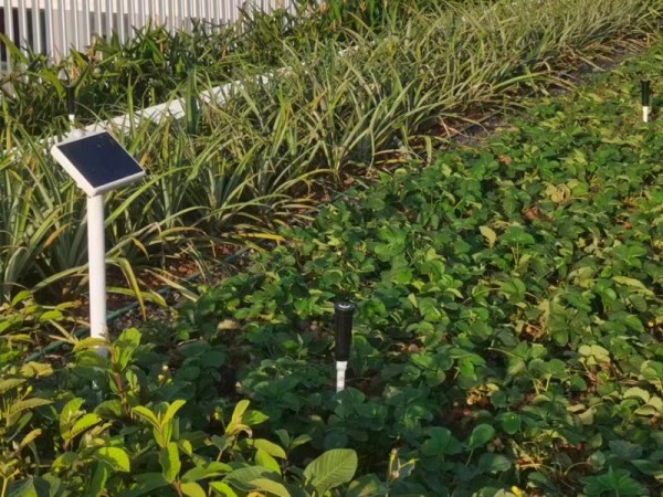 LORA无线智能灌溉控制器